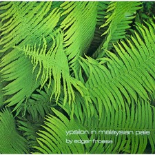 Edgar froese ypsilon gebraucht kaufen  Berlin