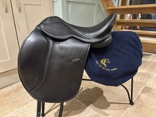 Pony cob horse for sale  SKIPTON