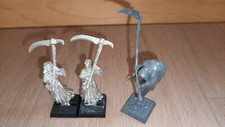 Cairn wraith nighthaunt gebraucht kaufen  Lambsheim