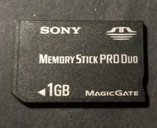 Sony memory stick usato  Verona