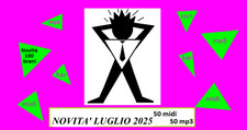 100 basi karaoke usato  Foggia