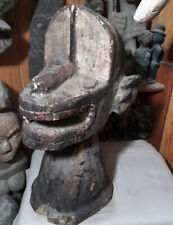 Impressionnante rare tête d'occasion  Le Beausset
