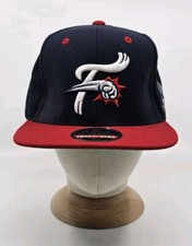 Reading fightin phils for sale  Fogelsville