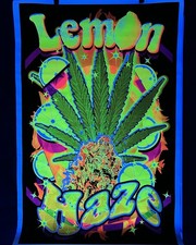 Vintage velvet blacklight for sale  Panama City Beach