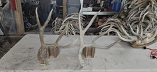 Sheds buck mule for sale  Montrose