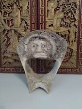 Fossil whale vertebrae for sale  Sidney