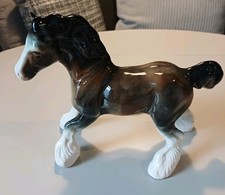 Cantering shire horse for sale  NOTTINGHAM