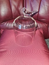 Vintage glass dome for sale  STOKE-ON-TRENT