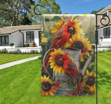 Sunflowers cardinals watering for sale  Dunedin