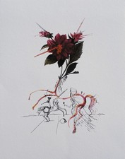 Salvador dali dahlia d'occasion  Saint-Médard-en-Jalles
