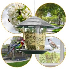 Gazebo jardin suspendu d'occasion  Dornecy