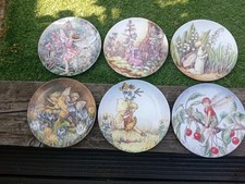 Flower fairy plates for sale  BIRMINGHAM