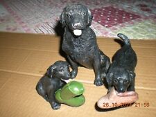 Leonardo labrador puppy for sale  BRIDGWATER