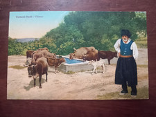 11545 cartolina costumi usato  Cagliari