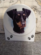 german doberman for sale german doberman for sale BURNLEY