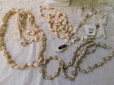 Natural seashell sea for sale  Meriden