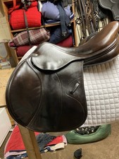 Amerigo pinerolo jump for sale  DROITWICH