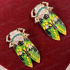 Large cicada beetle for sale  UK