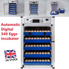 340 eggs automatic for sale  COALVILLE