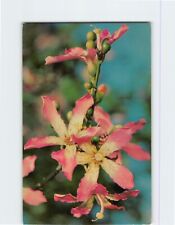 Postcard floss silk for sale  Almond