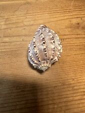 Large natural sea for sale Large natural sea for sale  OAKHAM