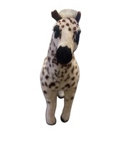 Large appaloosa horse for sale  LINCOLN