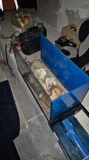 Aquarium becken 80x35x40 gebraucht kaufen  Beverungen
