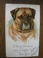 Merry christmas mastiff for sale  WARRINGTON