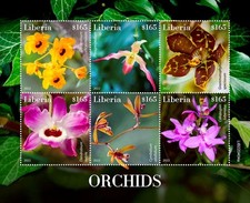 Liberia orchidee 2022 usato  Spedire a Italy