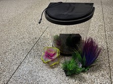 Gallon fish tank for sale  Scottsdale
