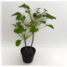 Ikea fejka artificial for sale  Mansfield