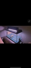 150 litres fish for sale  GLASGOW