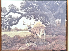 framed print woodland for sale framed print woodland for sale Manchester