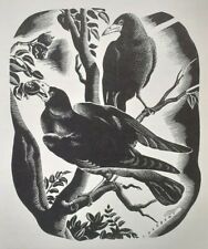 Rooks crows 1940s for sale  OSWESTRY