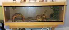Vivarium reptile enclosure for sale  FERRYHILL