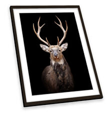 Stag deer head for sale  UK