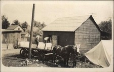 Ice industry horse for sale  South Portland
