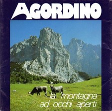 Agordino montagna occhi usato  Italia