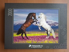Puzzle paket puzzle gebraucht kaufen  Burg