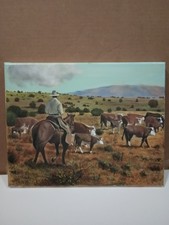 One kind cowboy for sale  League City