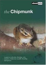 Chipmunk pets used for sale  UK