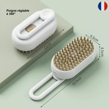 Peigne brosse vapeur d'occasion  Saint-Maur-des-Fossés