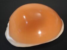 Famous... lyncina aurantium for sale  Lakeland