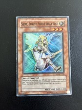 Carta shire spirito usato  Montalto Uffugo