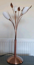 Next francesca copper for sale  BURTON-ON-TRENT