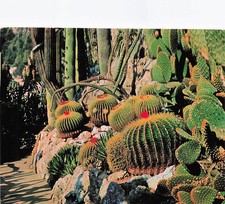 Exotic garden caters d'occasion  Expédié en Belgium