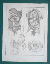 Human anatomy internal for sale  Manassas