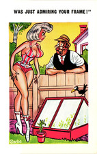 Postcard saucy seaside for sale  NEWCASTLE