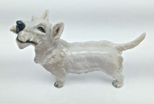 Rosenthal wheaten scottish for sale  LINCOLN