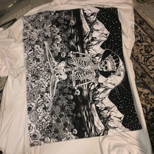 wandtuch gebraucht kaufen wandtuch gebraucht kaufen Walzbachtal